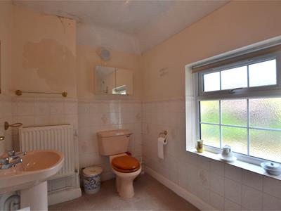 Picture 15